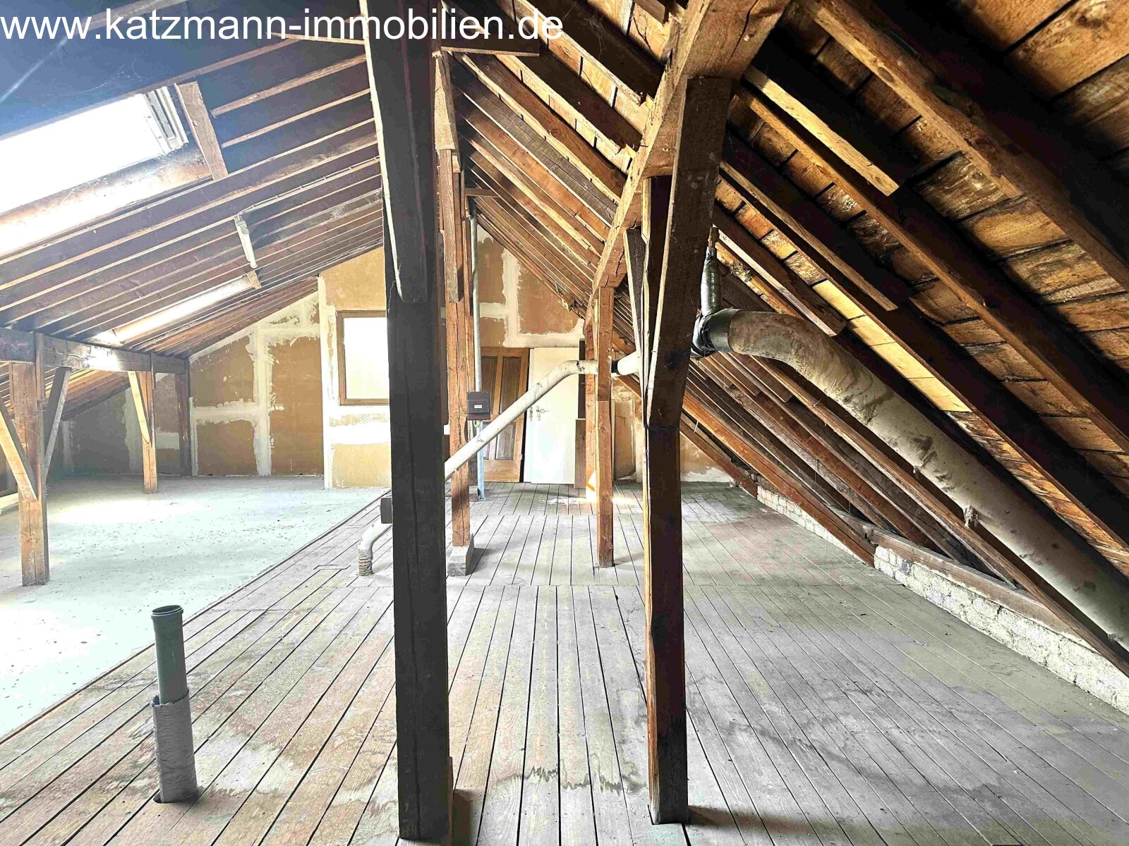 Doppelte Chance: Zwei Gebäude mit Wohnhaus, Ferienwohnung, Arztpraxis und Doppelgarage