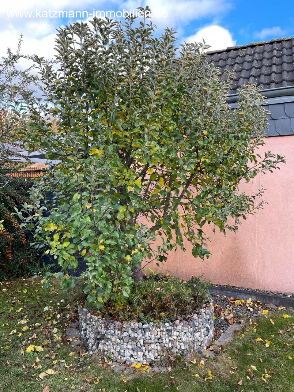Garten (pflegeleichte Bepflanzung)
