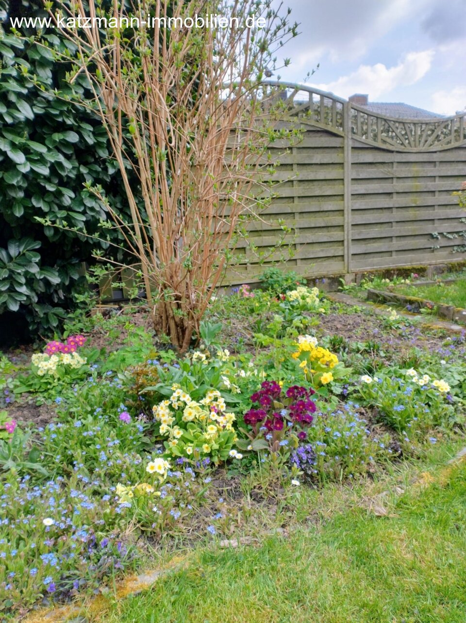 Blütenvielfalt im Garten