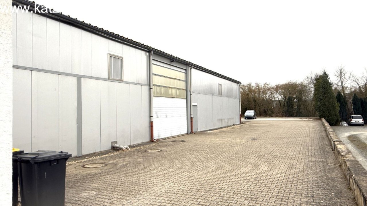Blick zum hinteren Bereich der Halle Blick zum hinteren Bereich der Halle