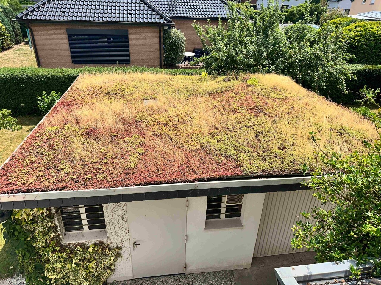 Blick auf die Werkstatt u. die alte Garage