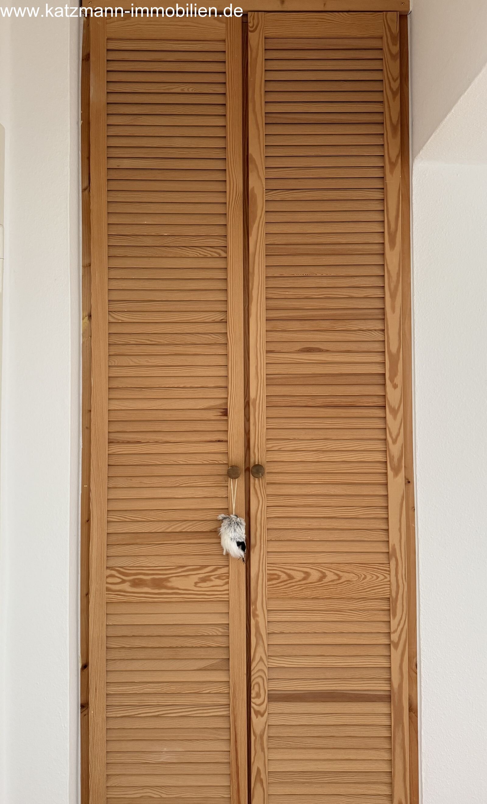 Großer Einbauschrank im Flur