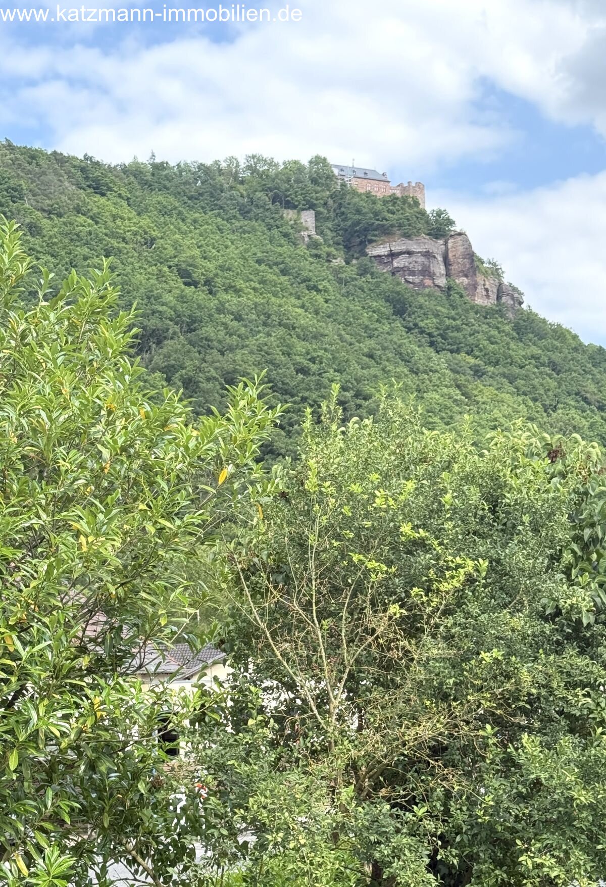 Burg Nideggen! Burg Nideggen!