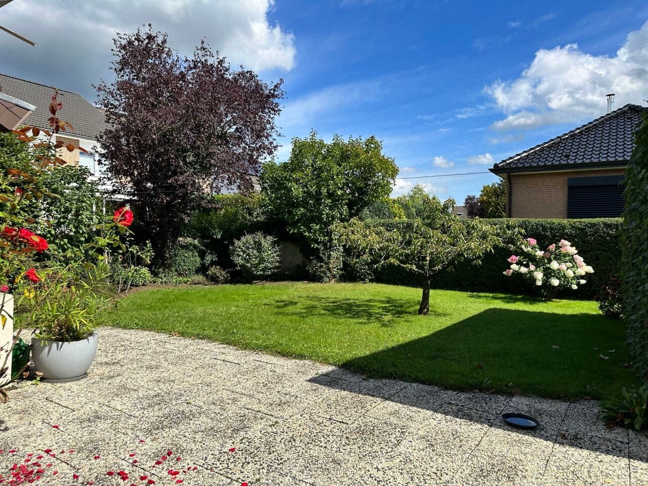 Gartenansicht (viel Platz für einen Pool)