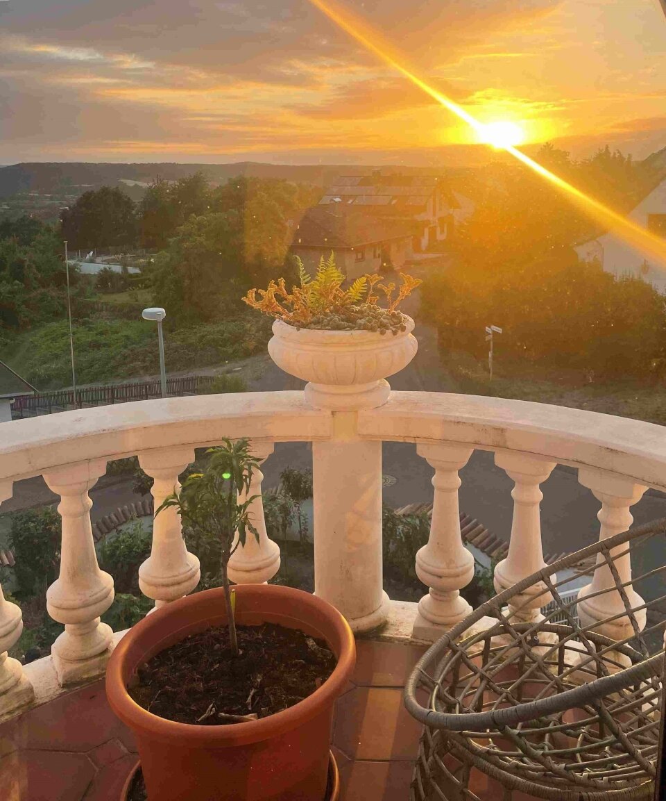 ¡Finca mediterránea de ensueño en estilo mallorquín con vistas a la llanura del Rin en venta!