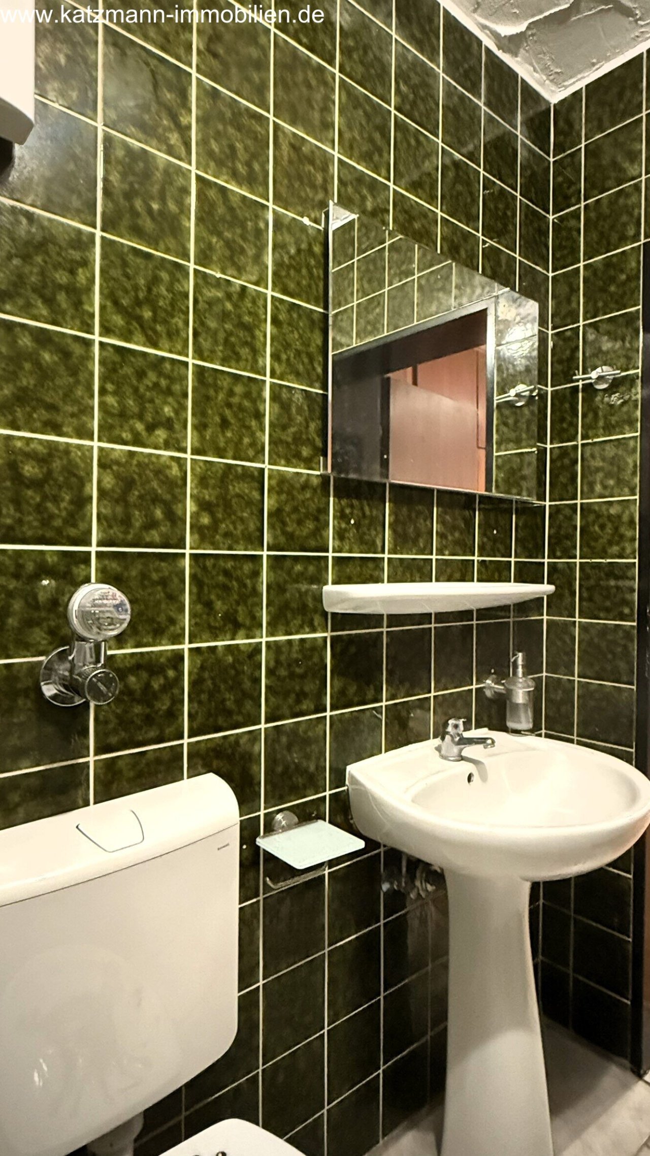 Baño de cortesía compacto con equipamiento práctico y aspecto de mosaico elegante