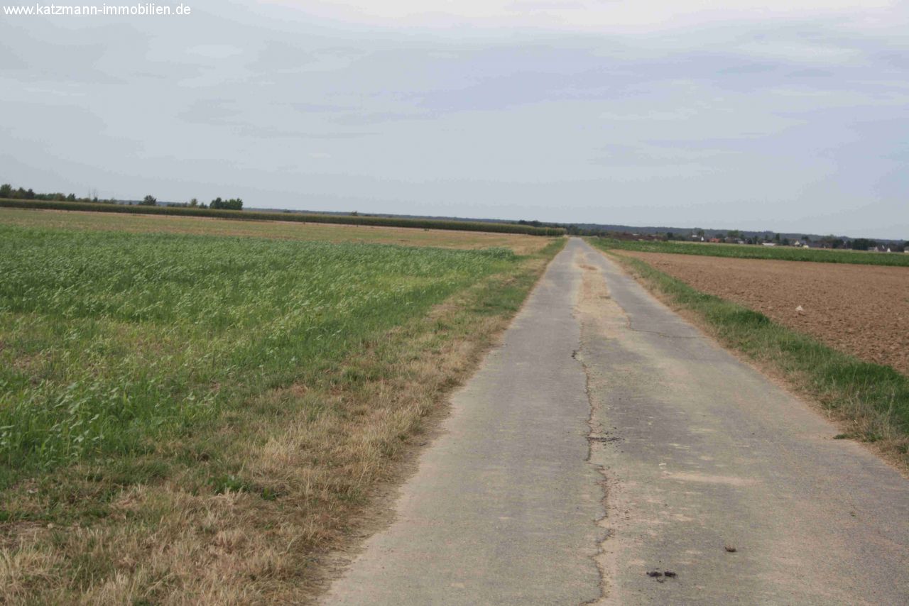 Ackerflächen mit hoher Bodengüte in Dom Esch zu verkaufen 