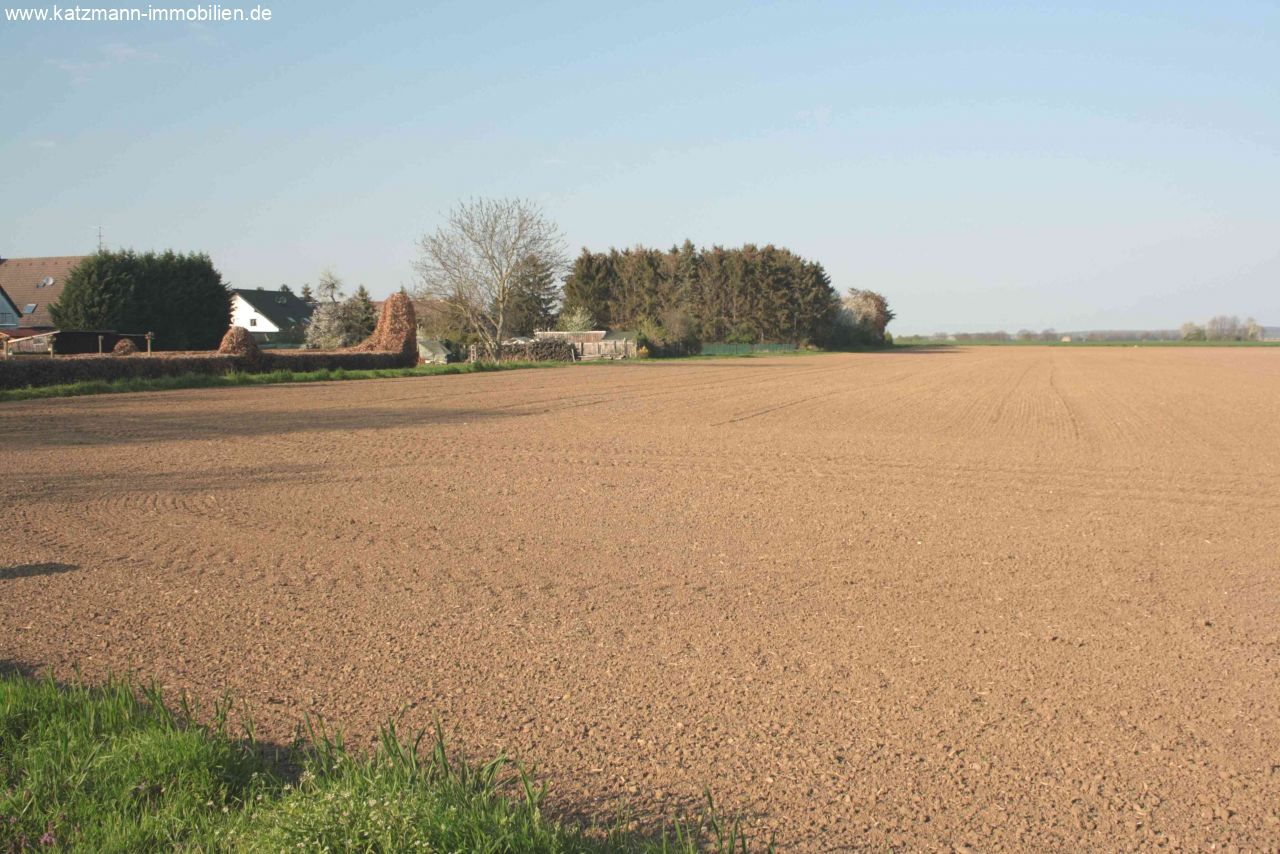 Lukrative Ackerflächen mit hoher Bodengüte in Dom-Esch zu verkaufen! 